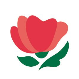 fleur(s)